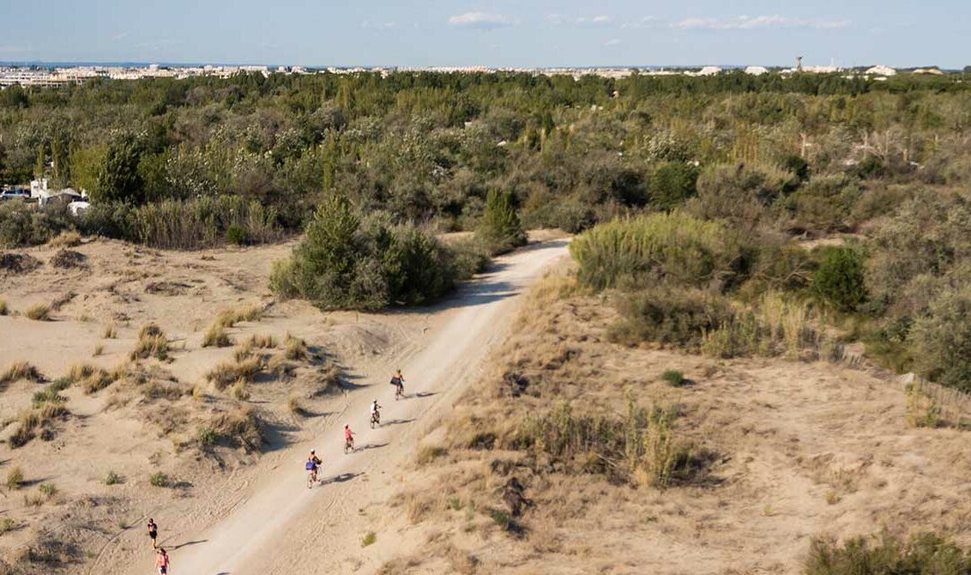 Viarhôna Radweg